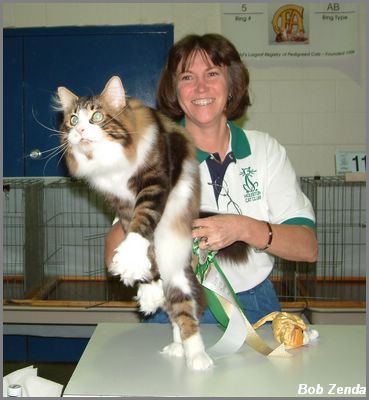 Nascat Gwydion-of-Gradace